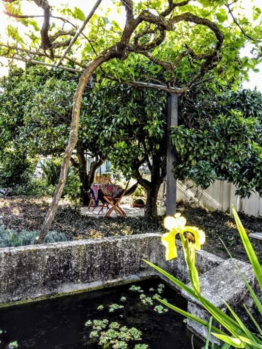 Pateo Da Memoria Casa Do Pintor Villa Quinta do Anjo Exterior photo